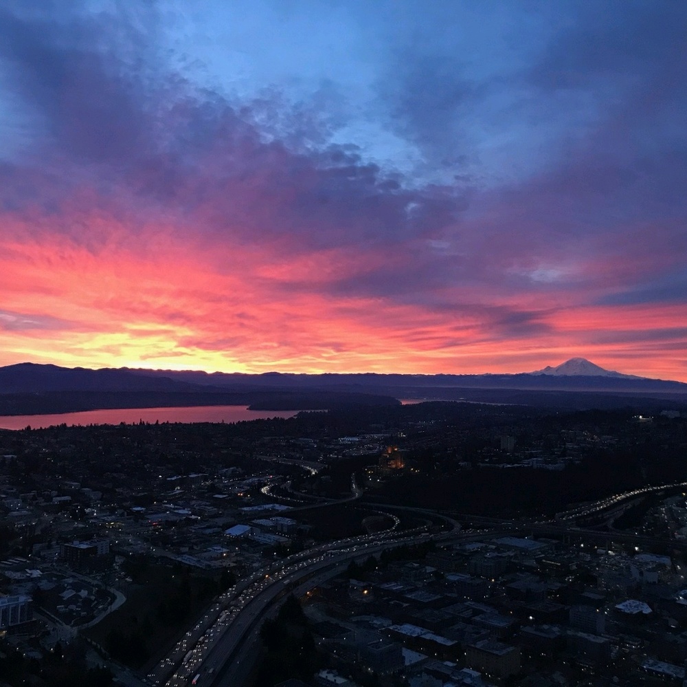 Meet your Posher, Tessa